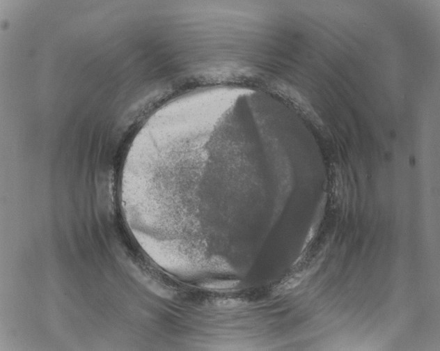 X0000067950590200605112127