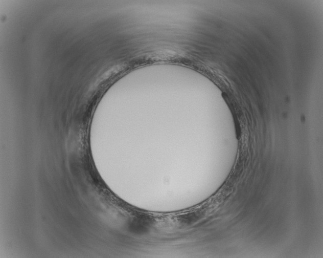 X0000067950591200605112127