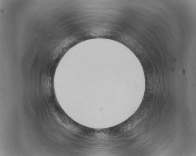 X0000067950592200605112127