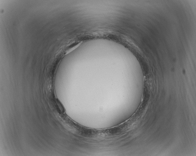 X0000067950593200605112127