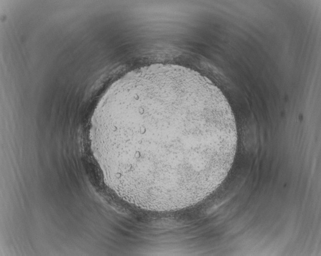 X0000067950594200605112127