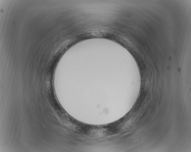 X0000067950595200605112127