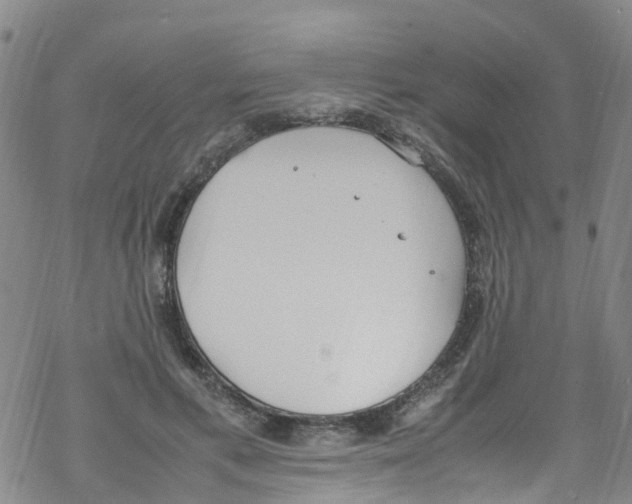 X0000067950597200605112127