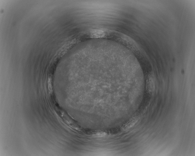 X0000067950598200605112127