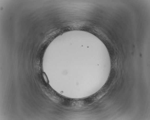 X0000067950599200605112127