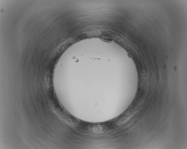 X0000067950600200605112127