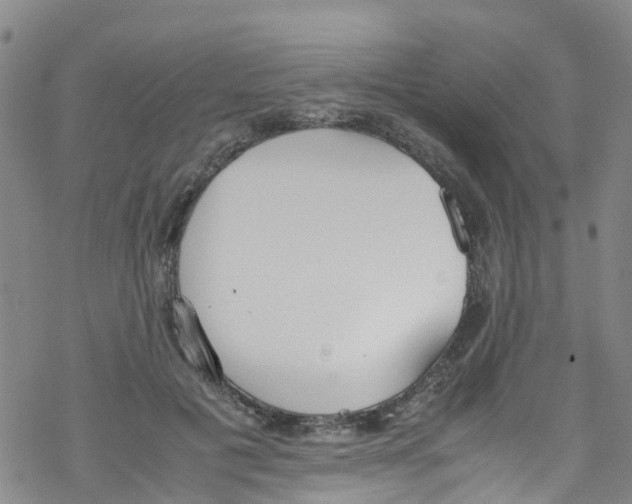 X0000067950601200605112127