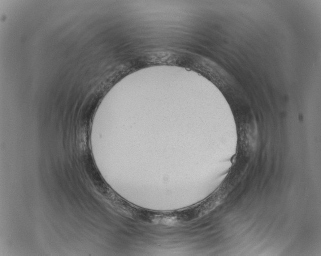 X0000067950602200605112127