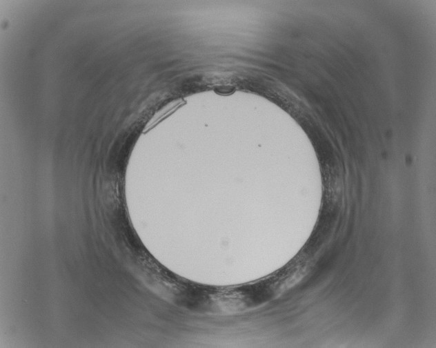 X0000067950603200605112127