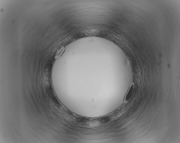 X0000067950604200605112127