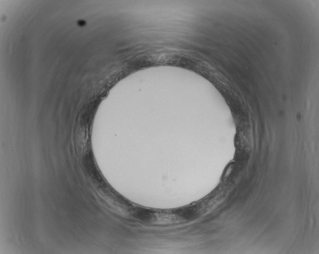 X0000067950605200605112127