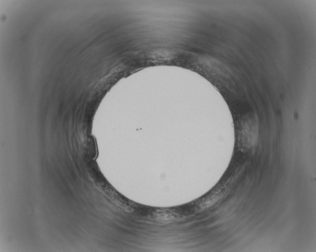 X0000067950608200605112127