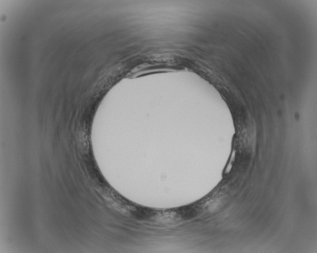 X0000067950609200605112127