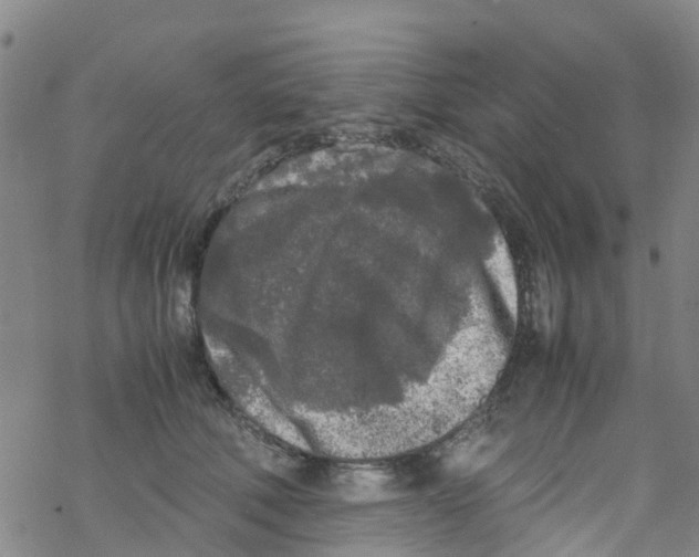 X0000067950610200605112127