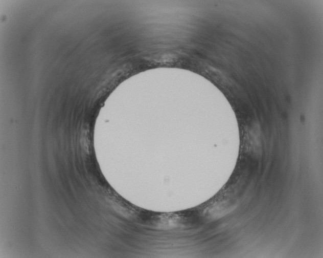 X0000067950612200605112127