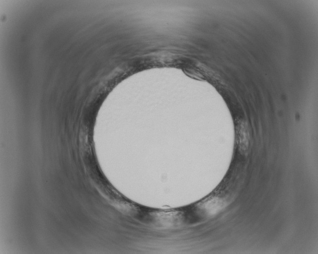 X0000067950615200605112127