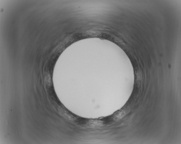 X0000067950617200605112127