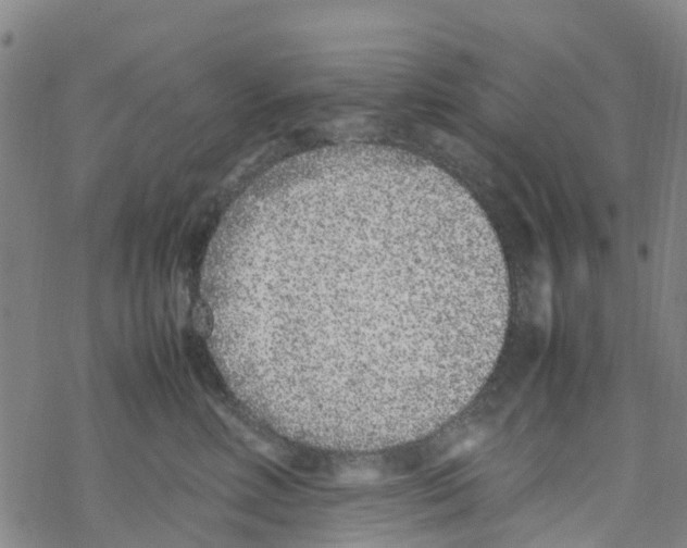 X0000067950618200605112127