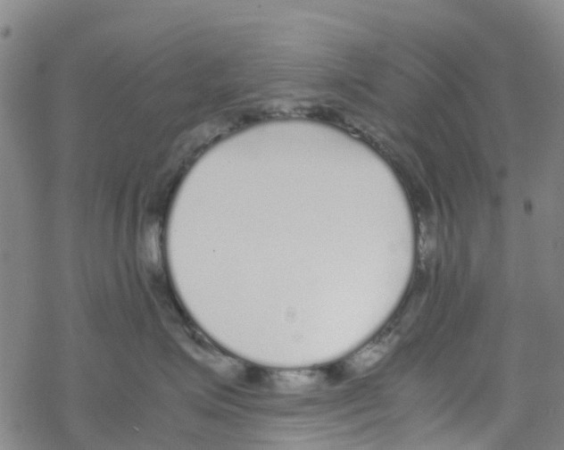 X0000067950623200605112127