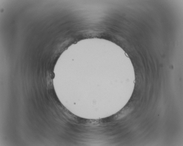 X0000067950624200605112127