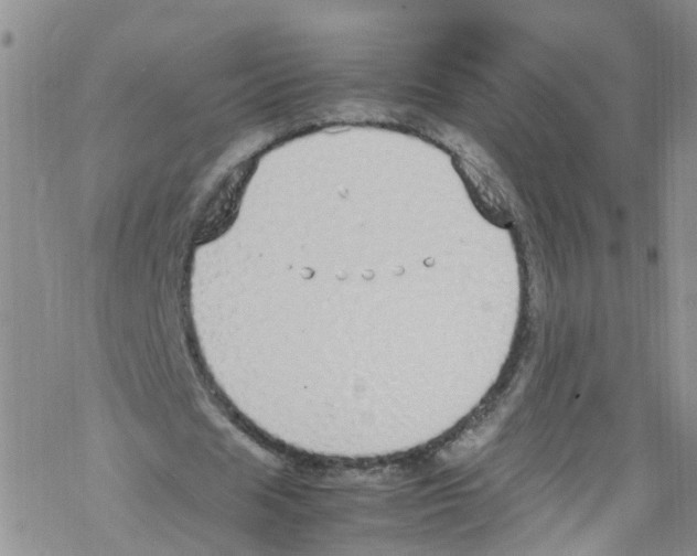 X0000067950625200605112126