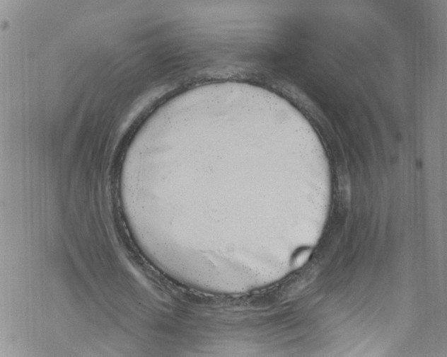 X0000067950626200605112126