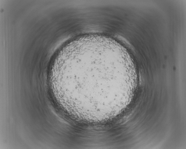 X0000067950627200605112126