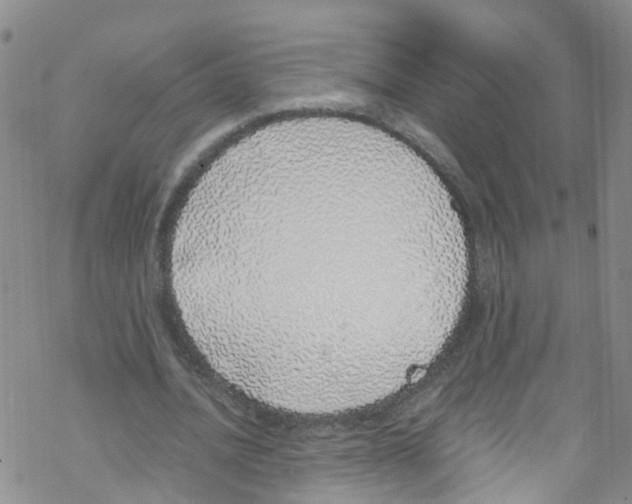 X0000067950628200605112126