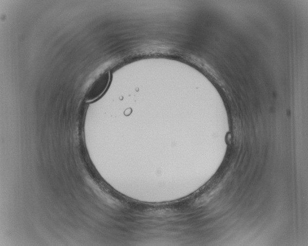 X0000067950629200605112126