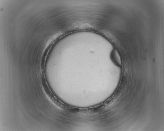 X0000067950630200605112126