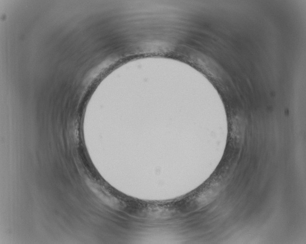 X0000067950632200605112126