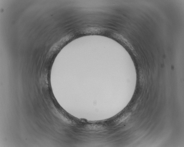 X0000067950633200605112126