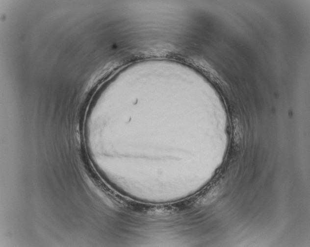 X0000067950634200605112126