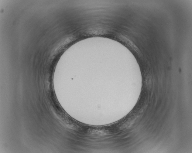 X0000067950635200605112126