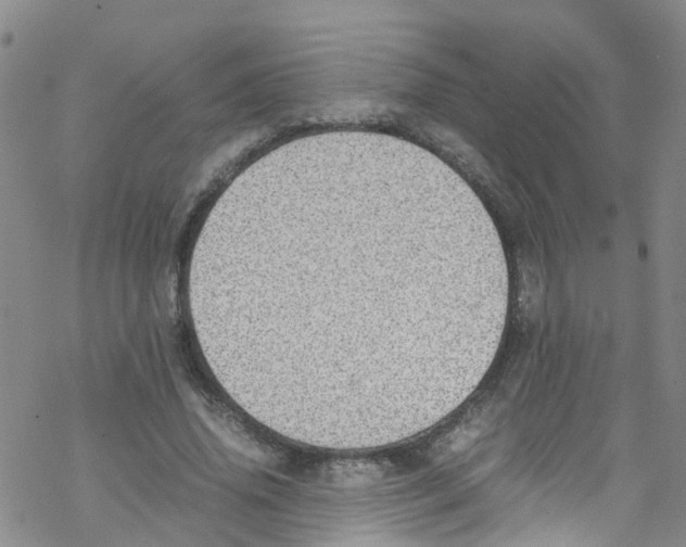 X0000067950636200605112126