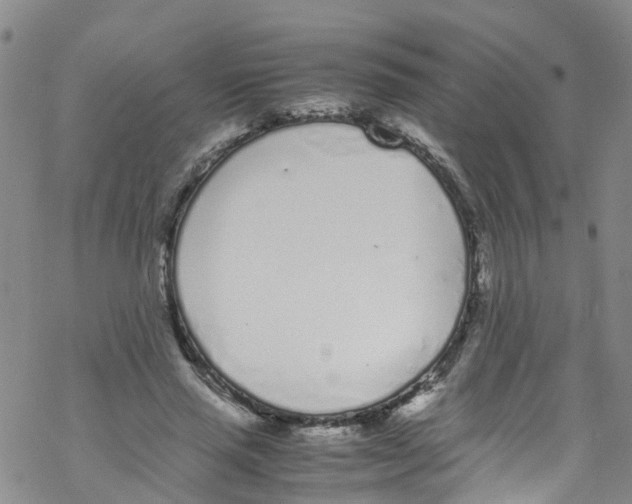 X0000067950637200605112126