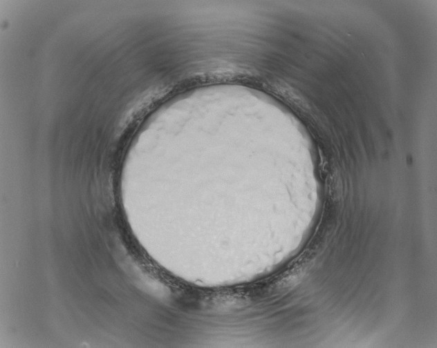 X0000067950638200605112126