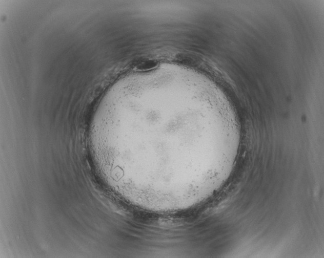 X0000067950641200605112126