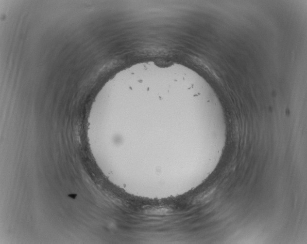 X0000067950643200605112126