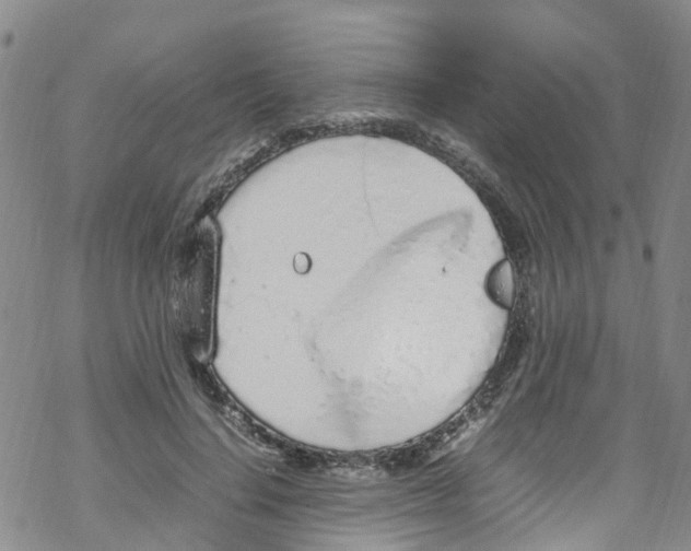 X0000067950644200605112126