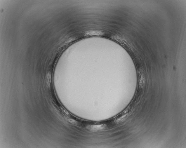 X0000067950647200605112126