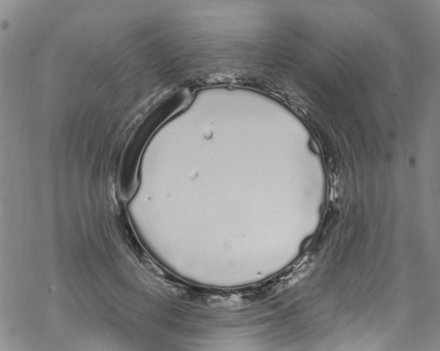 X0000067950648200605112126