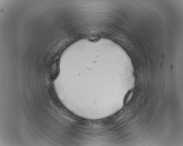 X0000067950652200605112127