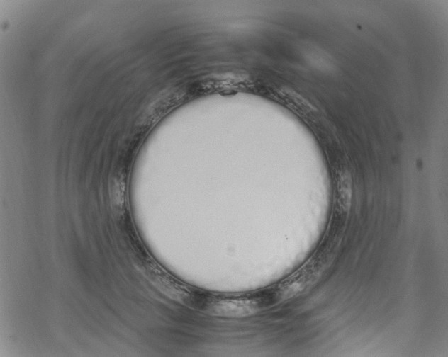 X0000067950657200605112127