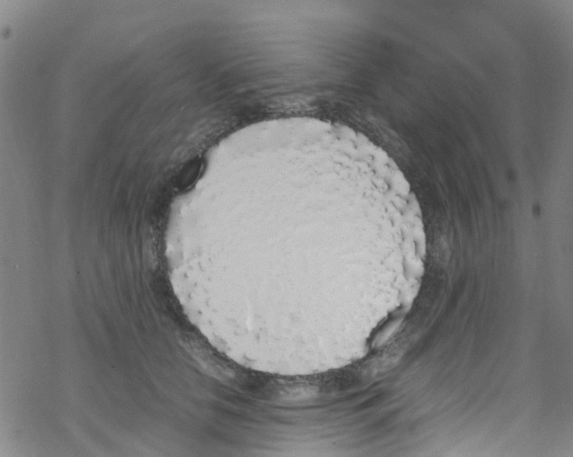 X0000067950658200605112127