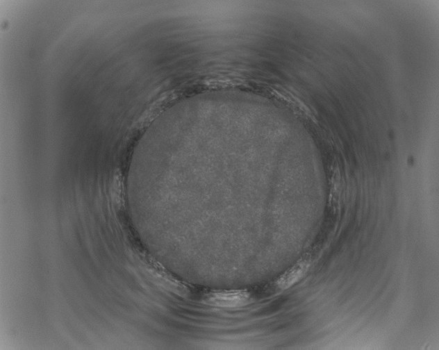 X0000067950659200605112127