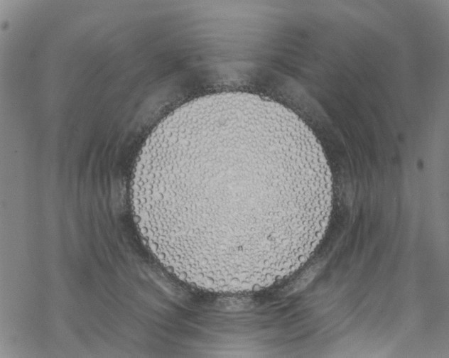 X0000067950660200605112127