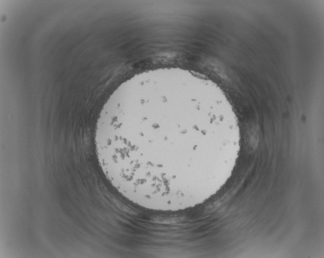 X0000067950661200605112127