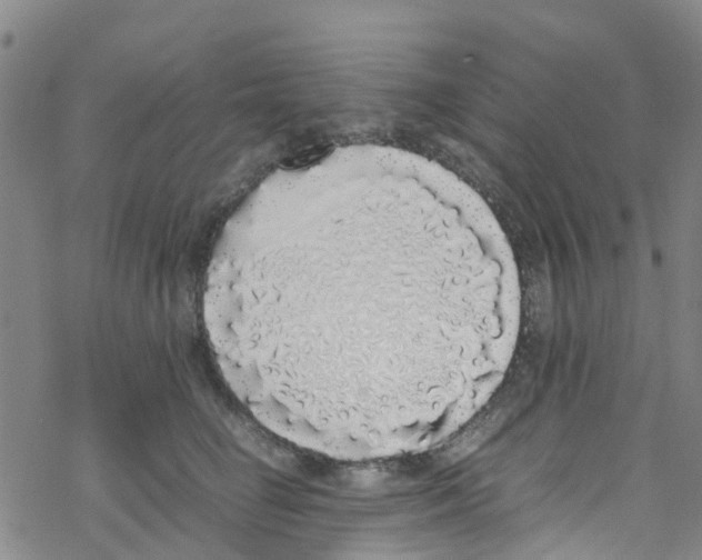 X0000067950662200605112127