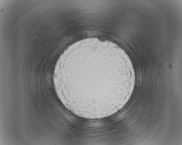 X0000067950667200605112127